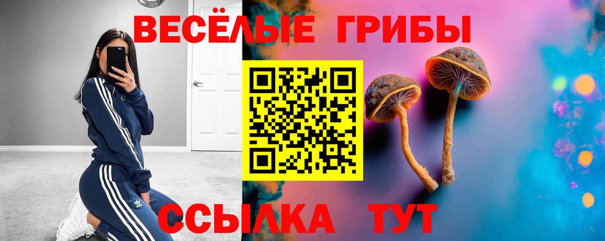 Псилоцибиновые грибы мицелий Вичуга