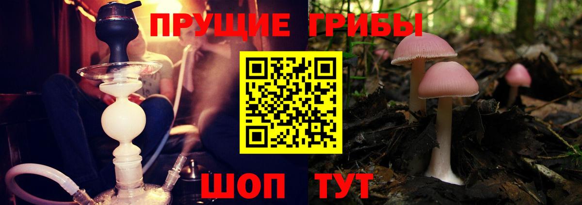 Вичуга  Галлюциногенные грибы прущие грибы  Вход с VPN 